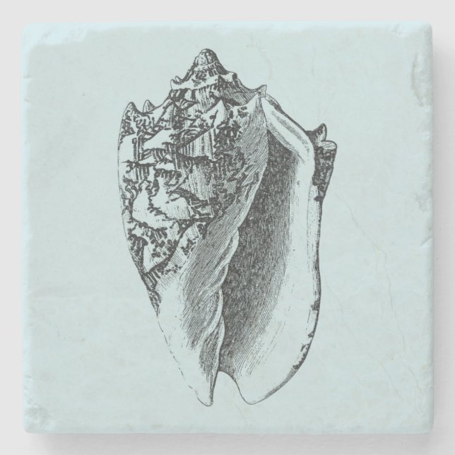 Posavasos De Piedra Aqua Conch Shell (Anverso)