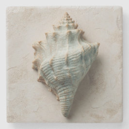 Posavasos De Piedra Aqua Conch Shell Coastal Art