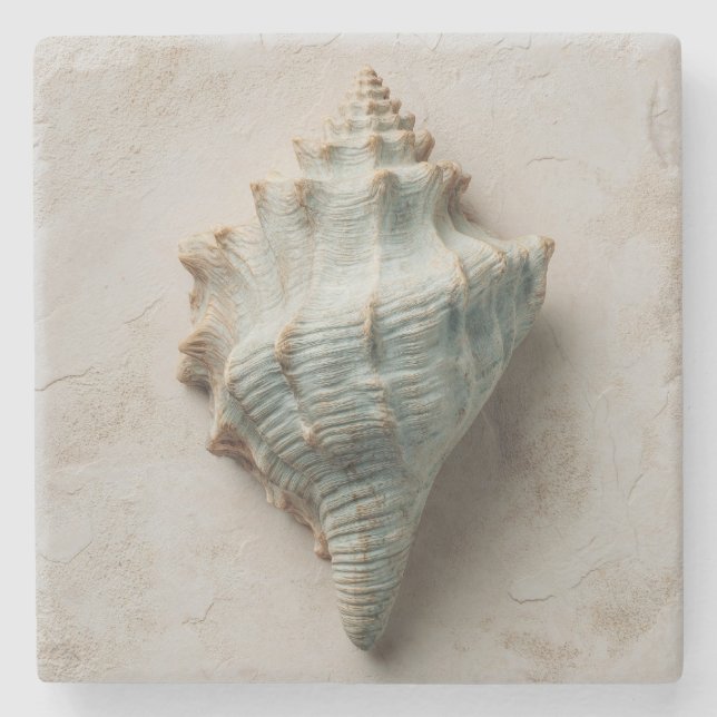 Posavasos De Piedra Aqua Conch Shell Coastal Art (Anverso)