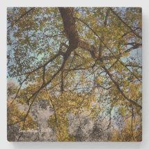 Árbol amarillo en otoño