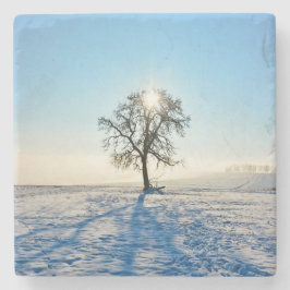 Posavasos De Piedra Árbol de invierno