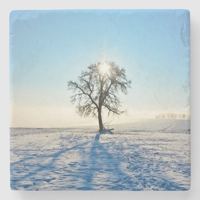 Posavasos De Piedra Árbol de invierno (Anverso)