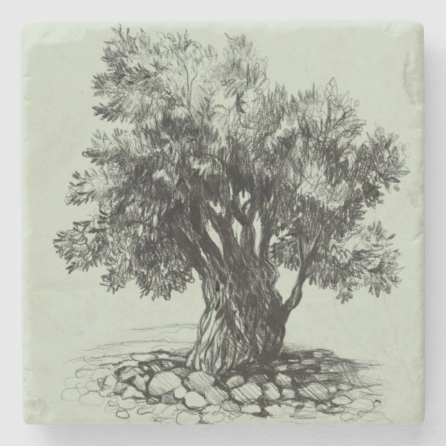 Posavasos De Piedra Árbol de oliva (Anverso)
