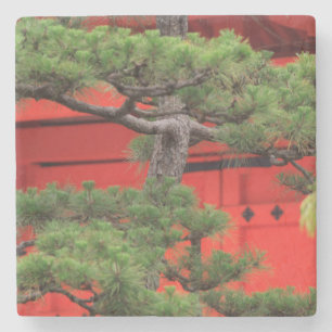 Posavasos De Piedra Árbol de pájaros bonsai