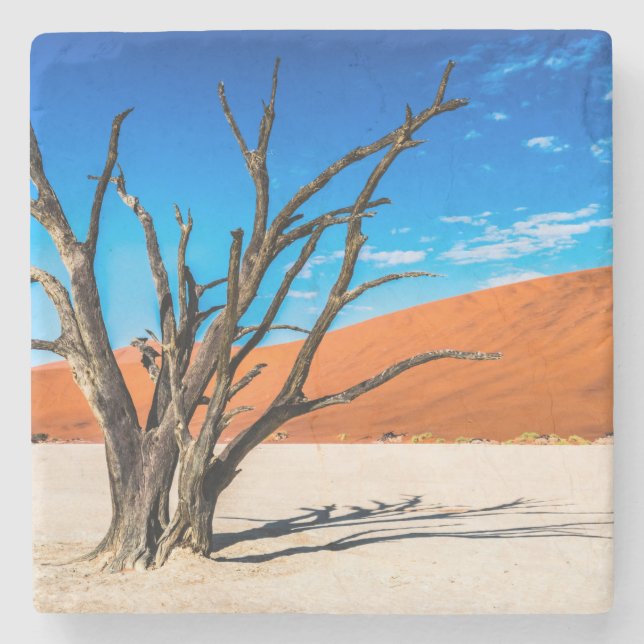Posavasos De Piedra Árbol muerto en Deadvlei, Namibia (Anverso)
