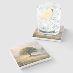 Posavasos De Piedra Árbol verde solitario con rayos de sol