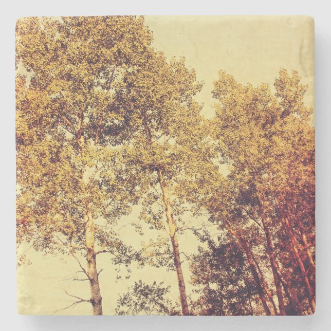 Posavasos De Piedra árboles (Anverso)