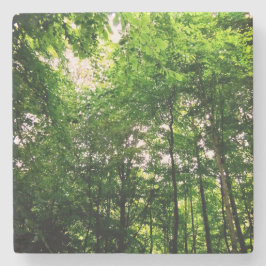 Posavasos De Piedra Árboles