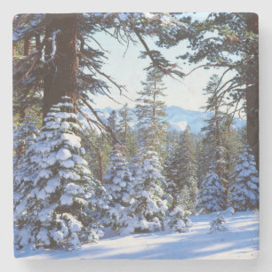 Posavasos De Piedra Árboles de aves rojas cubiertas de nieve en la Alt