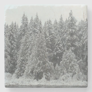 Posavasos De Piedra Árboles de invierno