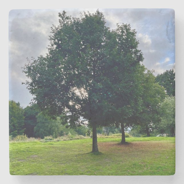 Posavasos De Piedra Árboles de otoño (Anverso)