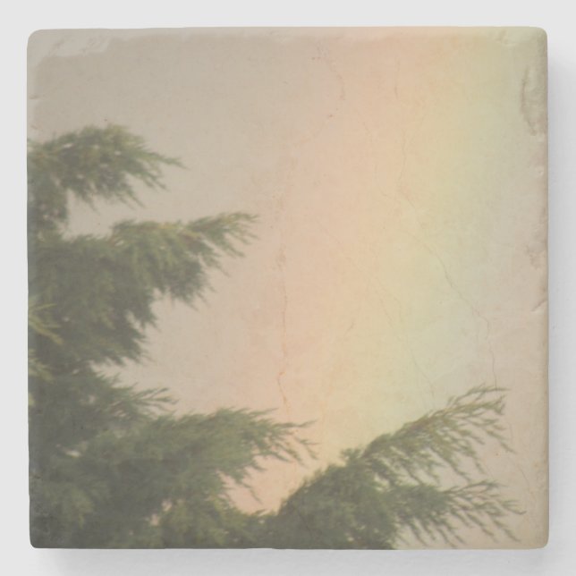 Posavasos De Piedra Arcoiris y cisternas de árboles (Anverso)