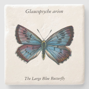 Posavasos De Piedra Arion Glaucopsyche - La mariposa azul grande