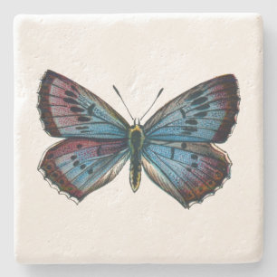 Posavasos De Piedra Arion Glaucopsyche - La mariposa azul grande