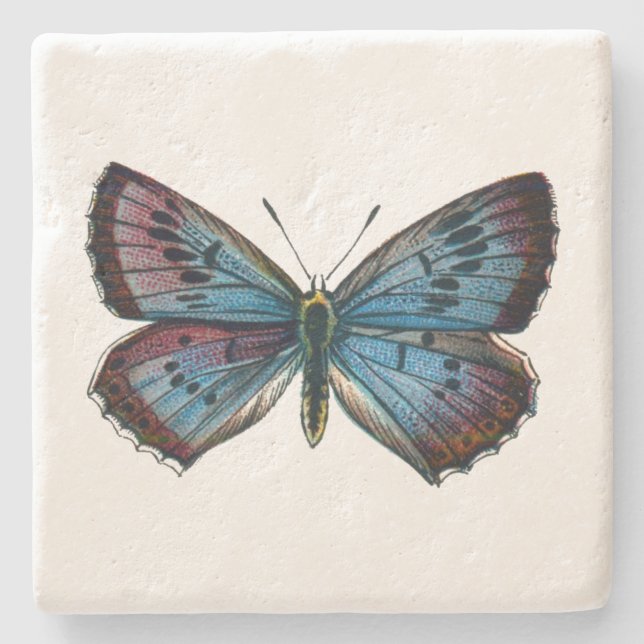 Posavasos De Piedra Arion Glaucopsyche - La mariposa azul grande (Anverso)