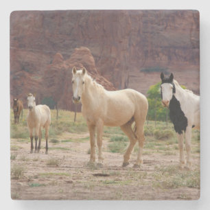 Posavasos De Piedra Arizona, Reserva de indios navajos, Chinle,