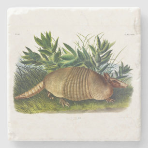 Posavasos De Piedra Armadillo de nariz larga y nueve bandas de Audubon