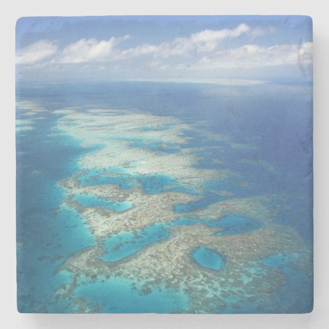 Posavasos De Piedra arrecife de lengua, gran parque marino de la barre (Anverso)