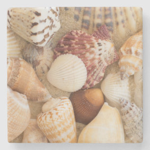 Posavasos De Piedra Arreglo del Seashell
