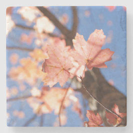 Posavasos De Piedra arriba, arriba en los árboles