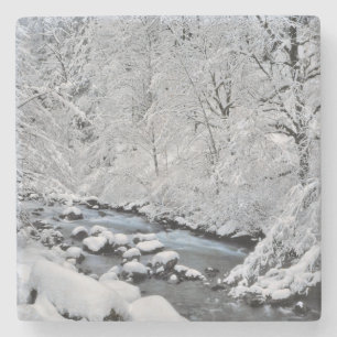 Posavasos De Piedra Arroyo blanco nevado escénico, Oregon