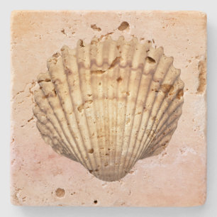 Posavasos De Piedra Arte acuarela de conchas marinas estilo artístico