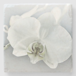 Posavasos De Piedra Arte Botánico de Orquídea Blanca Elegante