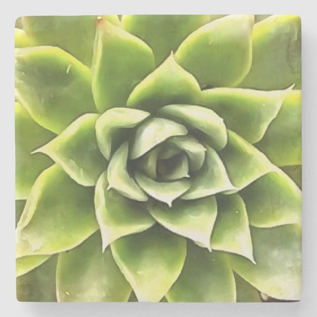Posavasos De Piedra Arte Cacti verde exitoso (Anverso)