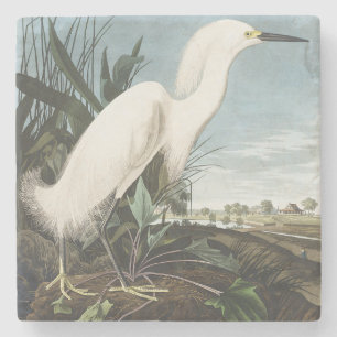 Posavasos De Piedra Arte de ave Garza Nivosa de Audubon vintage