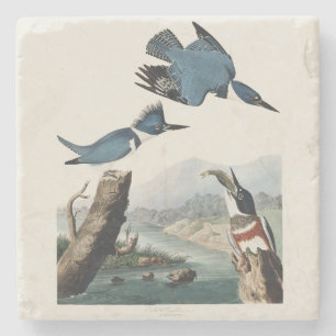 Posavasos De Piedra Arte de ave Martín pescador cinturado vintage de A