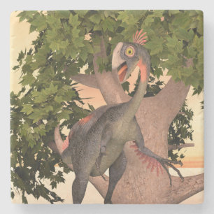 Posavasos De Piedra Arte de aventura de dinosaurio Gigantoraptor para
