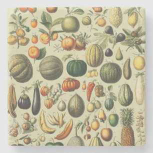 Posavasos De Piedra Arte de cartel vintage de frutas botánicas frances