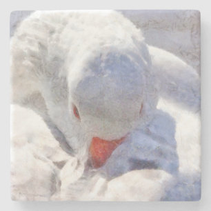 Posavasos De Piedra Arte de prevención del pato blanco