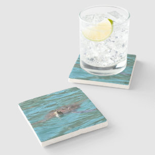 Posavasos De Piedra Arte de vida silvestre de la tortuga marina Logger
