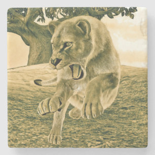 Posavasos De Piedra Arte dramático de safari de fauna con leona