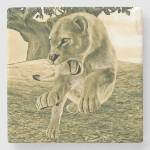 Posavasos De Piedra Arte dramático de safari de leona en la naturaleza
