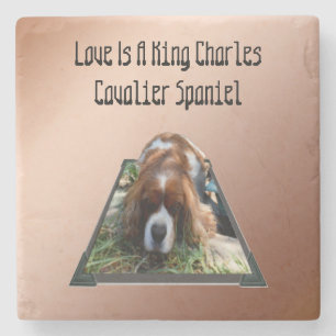Posavasos De Piedra Arte emergente de Cavalier Spaniel, Revestimiento