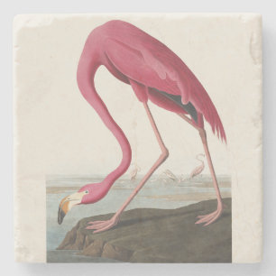 Posavasos De Piedra Arte vintage de Audubon del flamenco americano ros