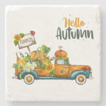 Astras de piedra de otoño, decoración del hogar de