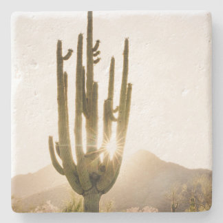 Posavasos De Piedra Astras temáticas del desierto con foto de cactus