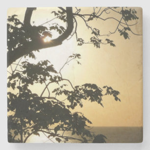 Posavasos De Piedra Atardecer a través de árboles II Fotografía tropic