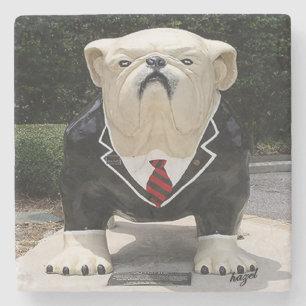 Posavasos De Piedra Atenas: Amos de Georgia, traje de Bulldog