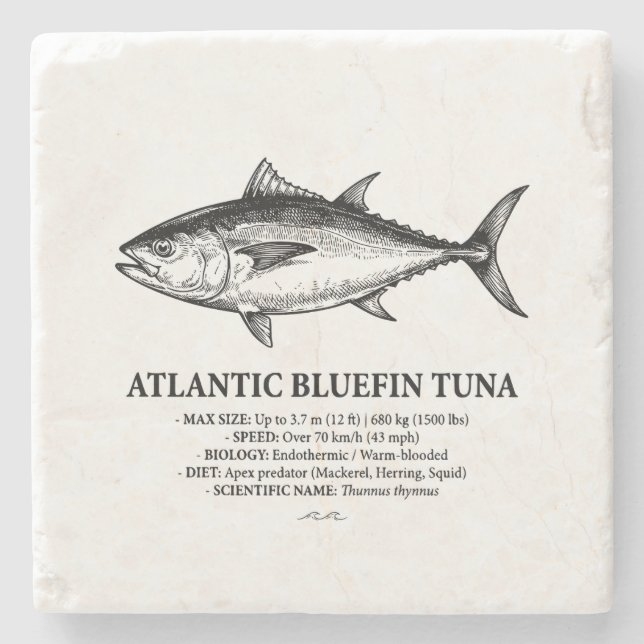 Posavasos De Piedra Atlantic Bluefin Tuna Scientific Illustration  (Anverso)