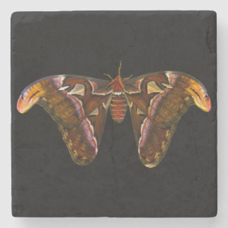 Posavasos De Piedra Atlas Moth - cabeza de serpiente