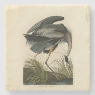 Posavasos De Piedra Audubon Great Blue Heron Marsh Bird