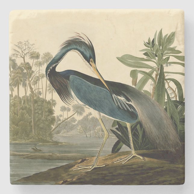 Posavasos De Piedra Audubon Louisiana Heron Birds America Art (Anverso)