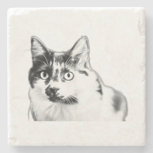 Posavasos De Piedra Autobús de tinta de gato audaz
