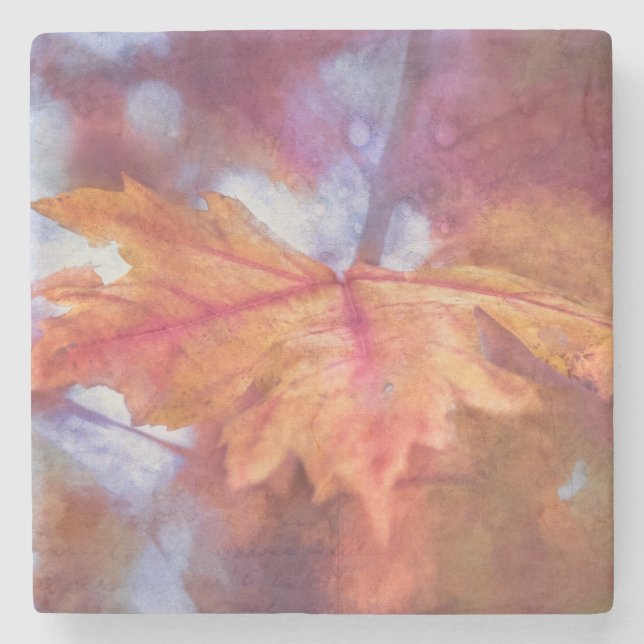 Posavasos De Piedra Autumn Maple Leaf Photo Art (Anverso)