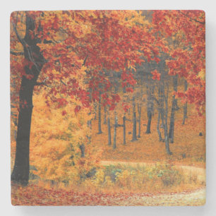 Posavasos De Piedra Autumn Road
