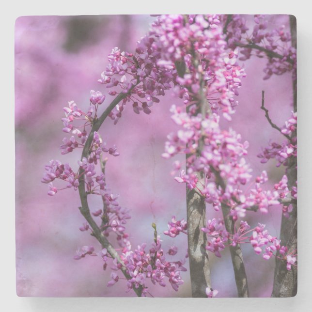 Posavasos De Piedra Avondale Redbud Art (Anverso)